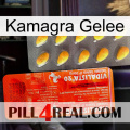 Kamagra Jelly new01